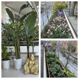 Jardinero profesional