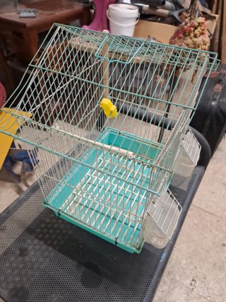 Jaula para pájaros color verde