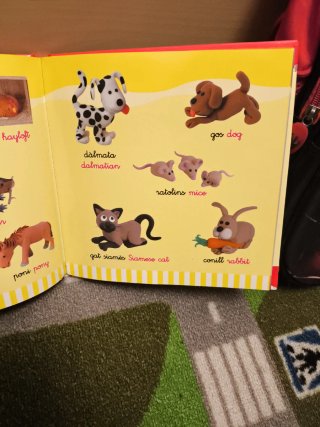 100 noms d'animals català-anglès
