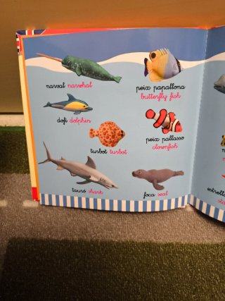 100 noms d'animals català-anglès