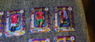 Lote Panini Adrenalyn XL Limited Edition Cards