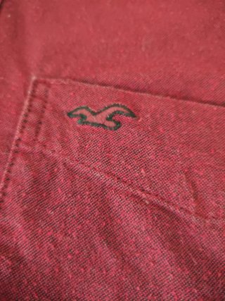 Camicia Hollister uomo