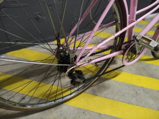 Bicicleta Paseo Clásica (Recoger en Costa Ballena)