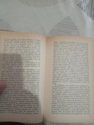 El mono desnudo