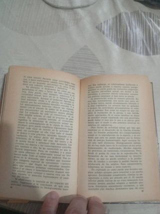 El mono desnudo