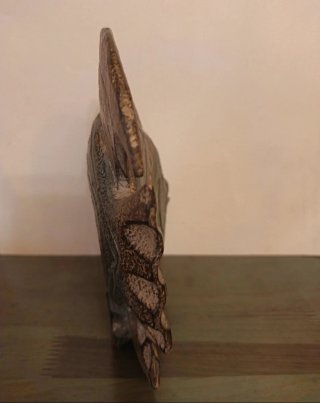Figura pez tropical decorativa