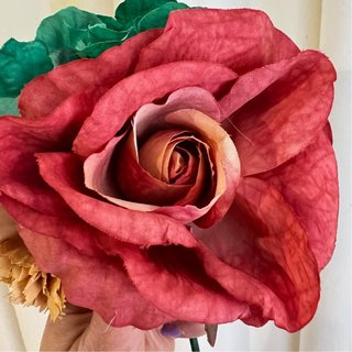 Ramillete de flores de Flamenca de colores