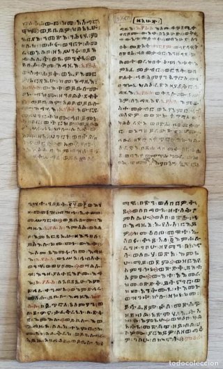 Antiguos manuscritos coptos en pergamino