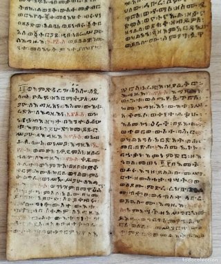 Antiguos manuscritos coptos en pergamino
