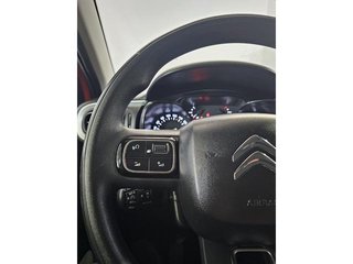 Citroen C3 BlueHDi 75 SANDS Feel 55 kW (75 CV)