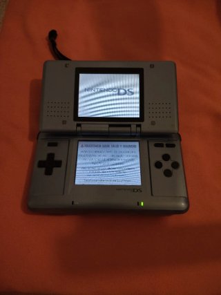 Nintendo DS Argento