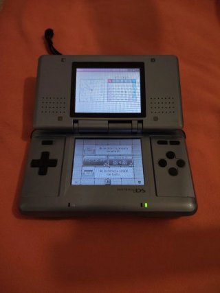 Nintendo DS Argento