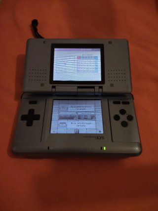Nintendo DS Argento