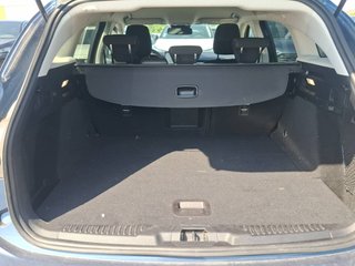Ford FOCUS FAMILIAR 1.0 Ecoboost MHEV 92kW Active X SB (2024)