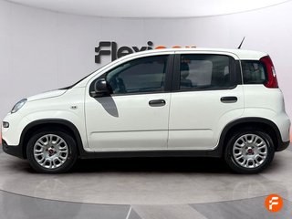 Fiat Panda City Life Hybrid 1.0 Gse 51kw (70CV)