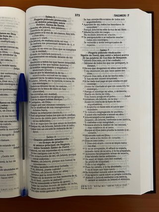 Santa Biblia Reina Valera 1960 - tapa dura
