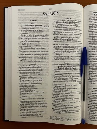 Santa Biblia Reina Valera 1960 - tapa dura