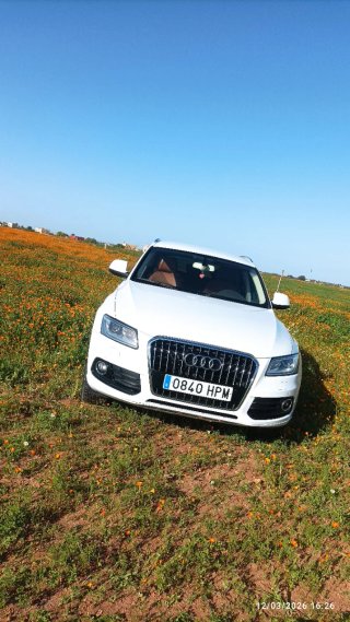 Audi Q5 2014