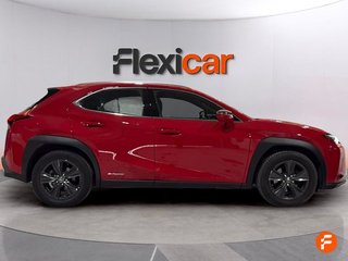 Lexus UX 2.0 250h Business