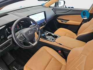 Lexus NX 450h+ Luxury 4WD 225 kW (306 CV)