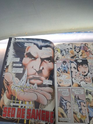 Cómic Wolverine Bloodlust