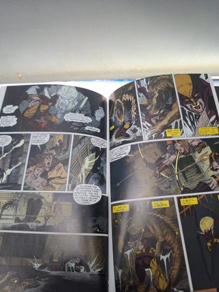 Comic Wolverine Rahne De Tierra