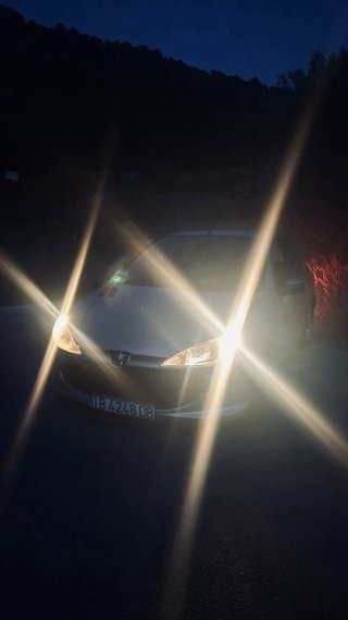 Peugeot 206 1998
