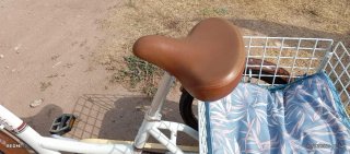 Triciclo Eléctrico