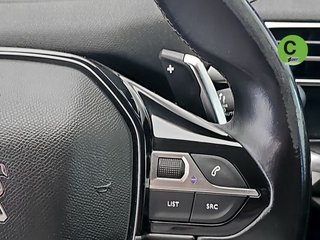 Peugeot 3008 BlueHDI 180 S&S GT Line EAT8 132 kW (180 CV)