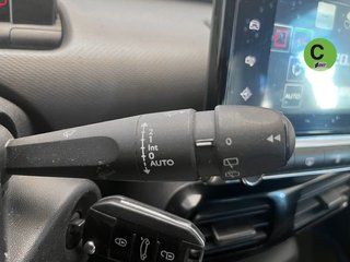 Citroën C4 Cactus BlueHDi 100 Feel 73 kW (100 CV)
