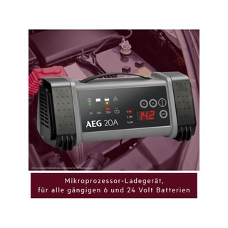 AEG 97025 cargador batería microprocesador 9