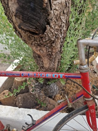 Bicicleta Peugeot Antigua Roja
