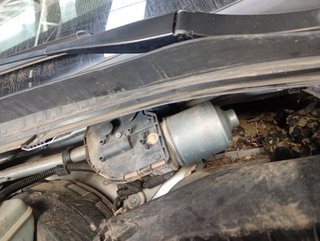 MOTOR LIMPIA DELANTERO Audi Q5 (8R)(2008->)