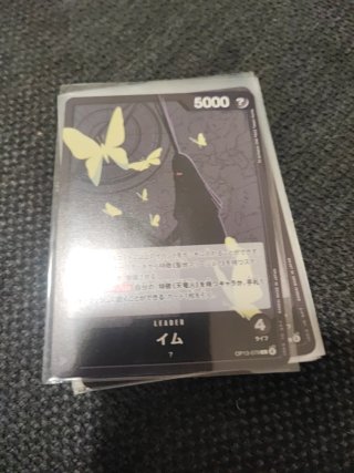 OP13 Carte Rare e Leader