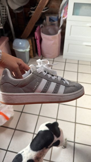 Adidas Campus Gris y Blanco