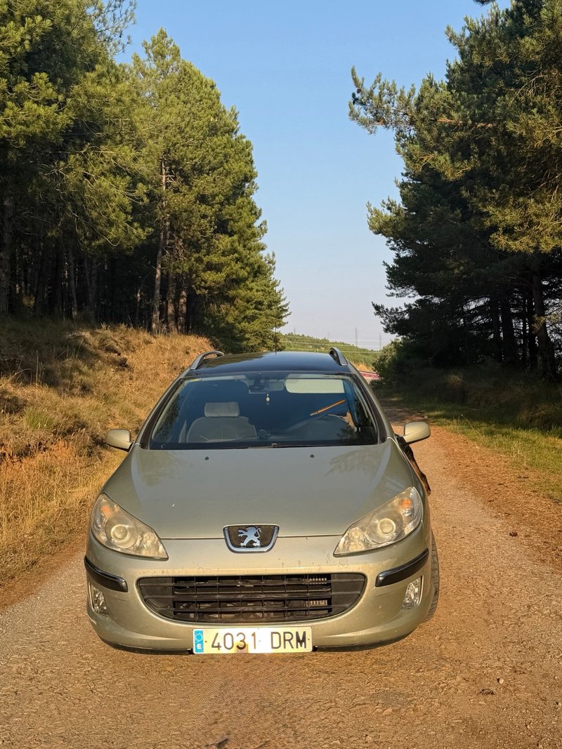 Peugeot 407 SW 2005 - foto 1