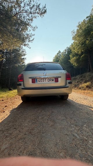 Peugeot 307 2005