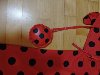 Disfraz Ladybug Talla 5-6