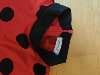 Disfraz Ladybug Talla 5-6