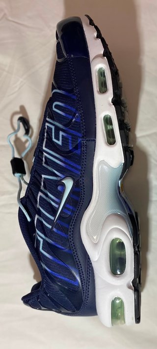 Nike Air Max Plus TN Nuove con Scatola