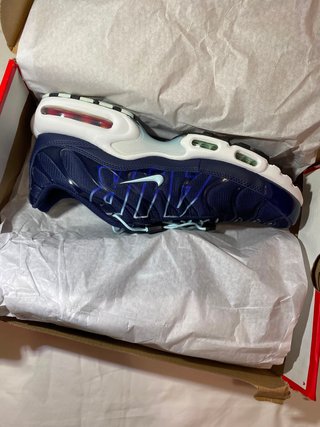 Nike Air Max Plus TN Nuove con Scatola