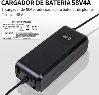 YANGZIDIANYUAN cargador 58V 4A LED 48V enchufe C13