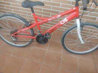 Bicicleta Montaña Roja Cups 32410