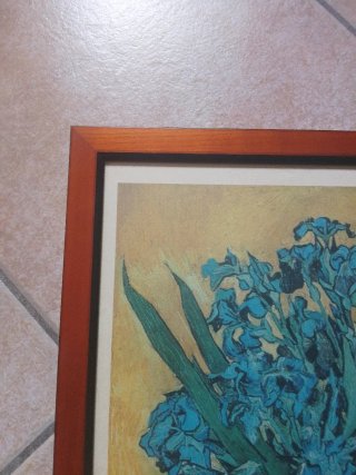 Quadro Fiori Blu 50x40 cm