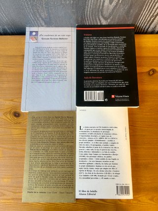 Lote 4 libros de autores clásicos