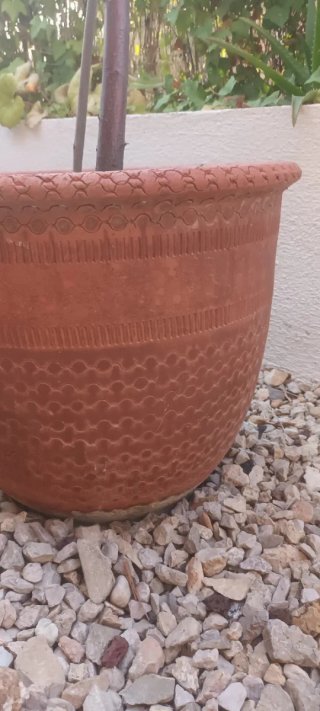Maceta grande de terracota