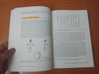 PSICOLOGÍA DE LA ATENCIÓN