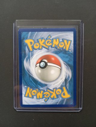 Magikarp y Wailord GX TAG TEAM