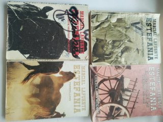 Lote novelas del oeste estefania