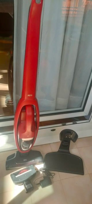 Aspirador Escoba AEG QX6 Animal